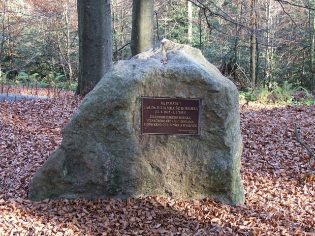 DSCF4803.JPG