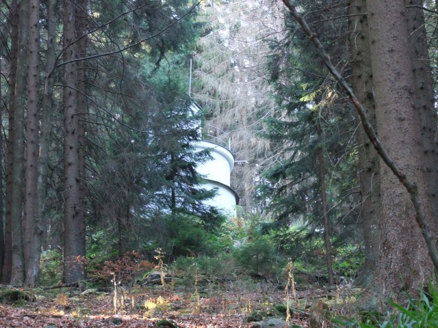 DSCF4815.JPG