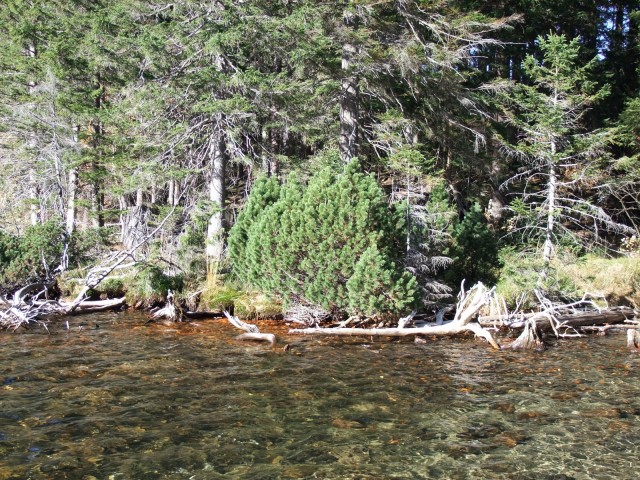 DSCF4826.JPG