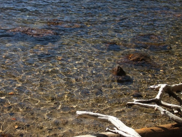 DSCF4830.JPG