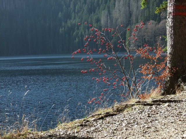 DSCF4834.JPG