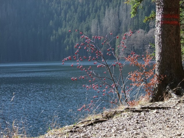 DSCF4835.JPG