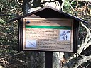 DSCF4806.JPG