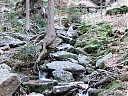 DSCF4807.JPG