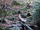 DSCF4809.JPG