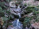 DSCF4810.JPG