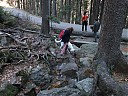 DSCF4811.JPG