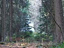DSCF4815.JPG