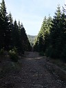 Název souboru=DSCF4851.JPG
Velikost souboru=372KB
Rozměry=1200x1600
Datum přidání=11. 11. 2013 DSCF4851.JPG