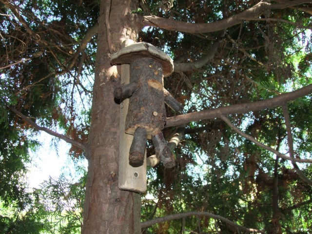 DSCF4183.JPG