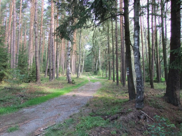 DSCF4267.JPG