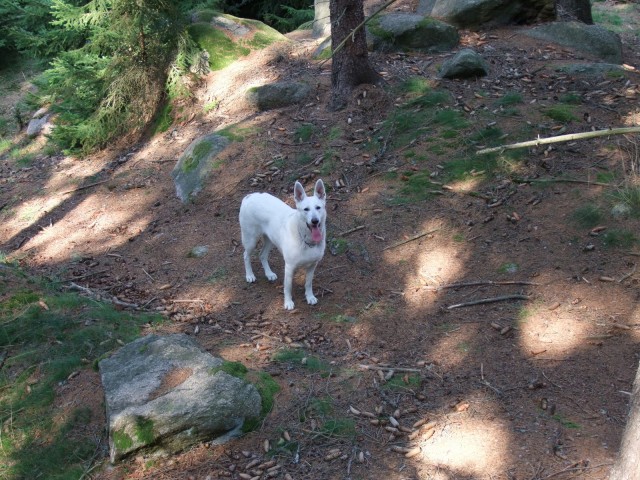 DSCF4278.JPG
