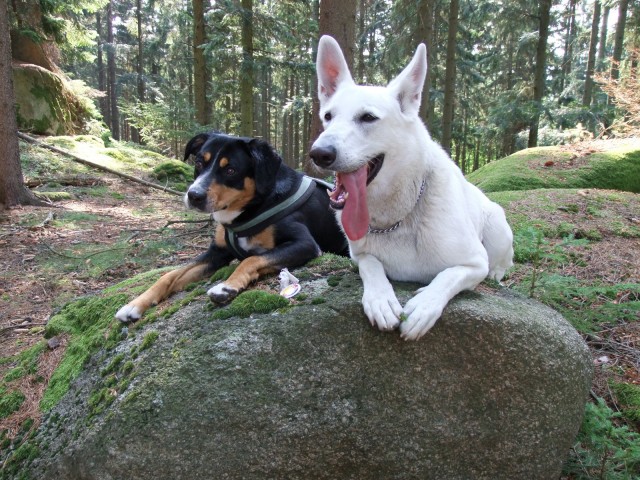 DSCF4284.JPG