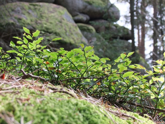 DSCF4324.JPG