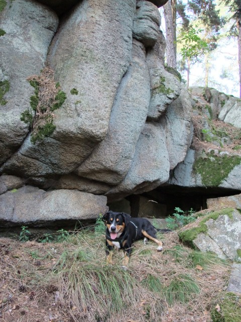 DSCF4345.JPG