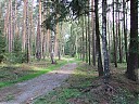 DSCF4267.JPG