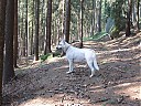 DSCF4269.JPG