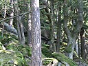 DSCF4277.JPG