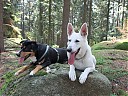DSCF4291.JPG