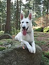 DSCF4293.JPG