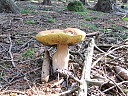 DSCF4296.JPG