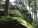 DSCF4320.JPG