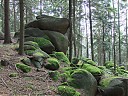 DSCF4330.JPG