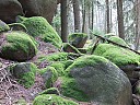 DSCF4331.JPG