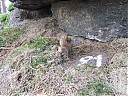 DSCF4333.JPG