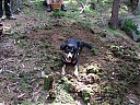 DSCF4337.JPG