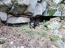 DSCF4344.JPG