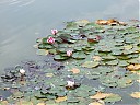 DSCF4352.JPG