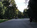 DSCF4389.JPG