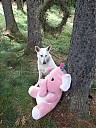 DSCF4558.JPG