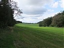 DSCF4561.JPG