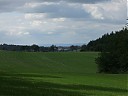 DSCF4563.JPG