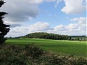 DSCF4573.JPG