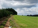 DSCF4574.JPG