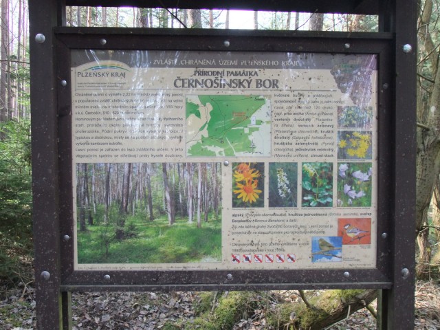 DSCF5222.JPG