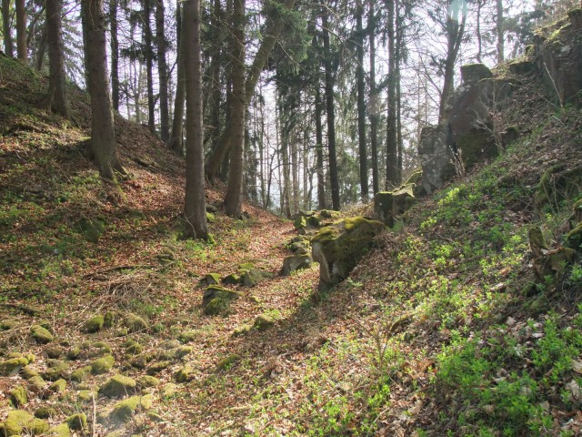 DSCF5231.JPG