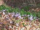 DSCF5236.JPG