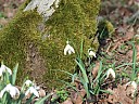 DSCF5270.JPG