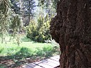 DSCF5380.JPG