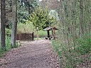DSCF5387.JPG