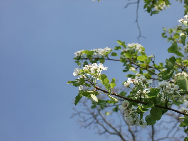 DSCF5335.JPG
