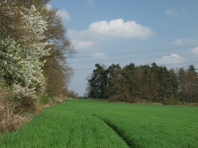 DSCF5343.JPG