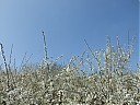 DSCF5327.JPG