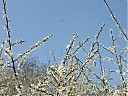 DSCF5328.JPG