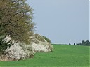 DSCF5330.JPG