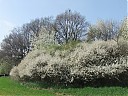 DSCF5331.JPG